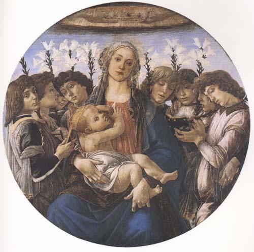 Sandro Botticelli Madonna and child with eight Angels or Raczinskj Tondo oil painting image